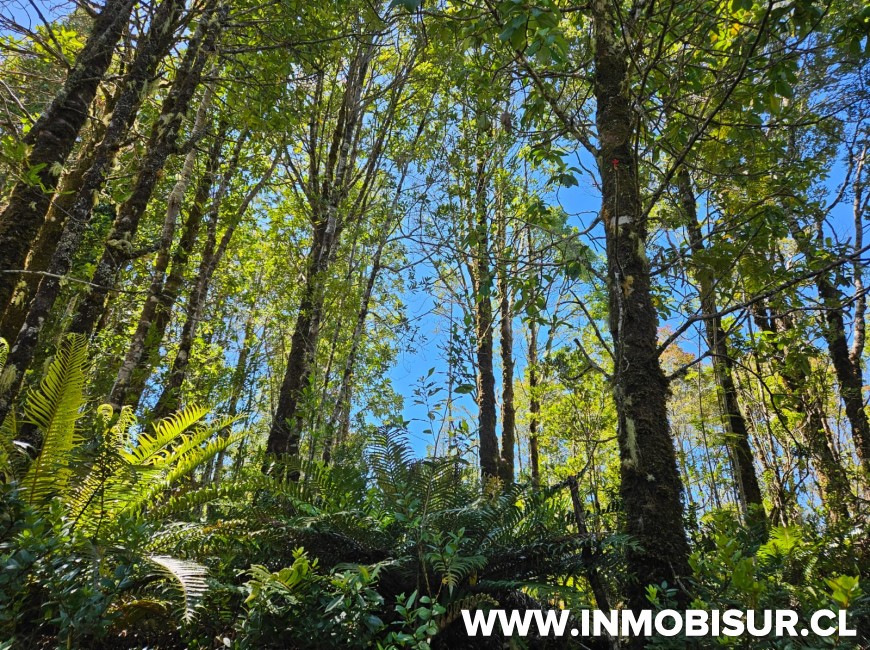 Colina Rio Sur Lindas parcelas a la venta en sector de Colonia Rio Sur | Inmobisur ...
