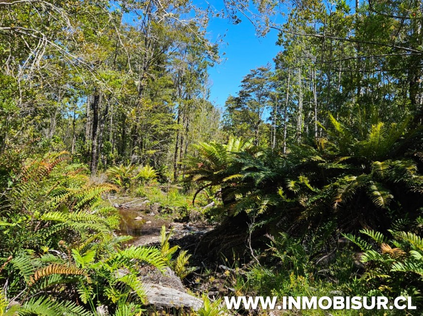 Colina Rio Sur Lindas parcelas a la venta en sector de Colonia Rio Sur | Inmobisur ...