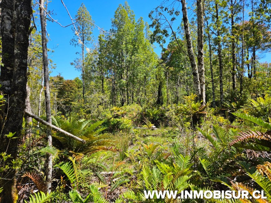 Colina Rio Sur Lindas parcelas a la venta en sector de Colonia Rio Sur | Inmobisur ...