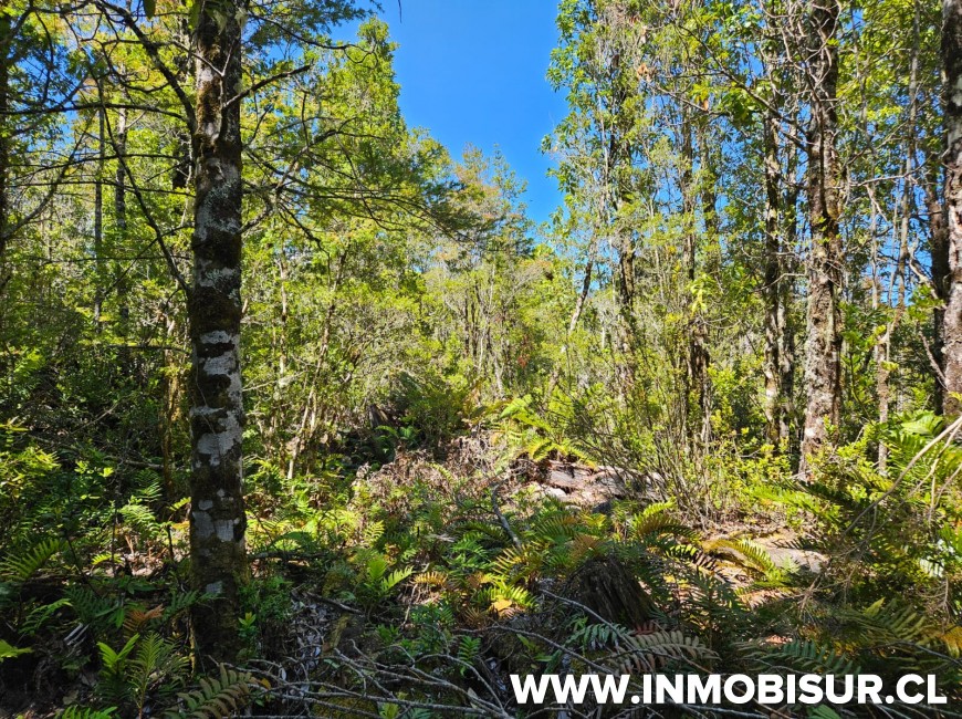 Colina Rio Sur Lindas parcelas a la venta en sector de Colonia Rio Sur | Inmobisur ...
